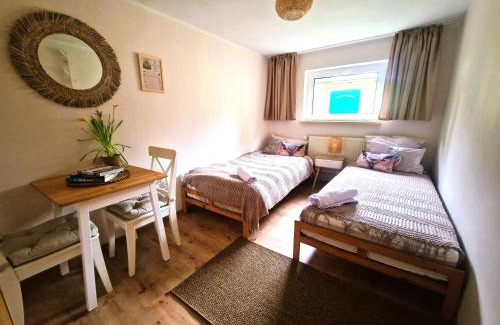 Swidnica Casa | Rozbrykany Muflon
