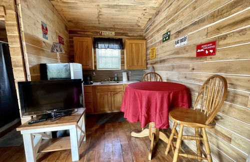 Southern Cabina | Rudy’s roost Rental Cabin - near Back of the Dragon Route 16