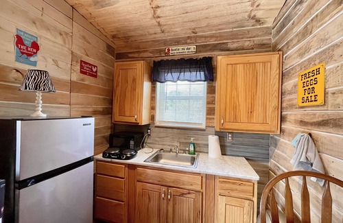 Southern Cabina | Rudy’s roost Rental Cabin - near Back of the Dragon Route 16