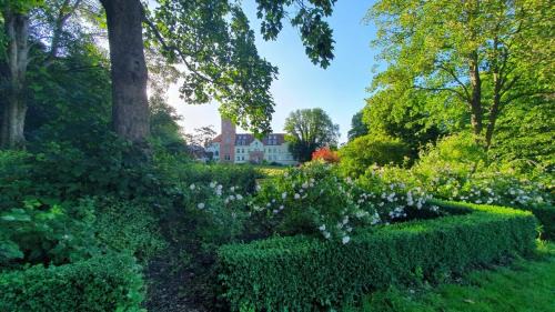 Lelkendorf Apartamento | Ruhig & Idyllisch - Schloss Lelkendorf - Maisonette-Apartment Ulrichshusen mit Dachterrrasse, Mecklenburger Seenplatte mit Dachterrasse, Nähe Ostsee