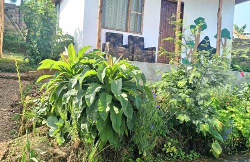 Luhizha Casa | Ruhija Gorilla Guest House