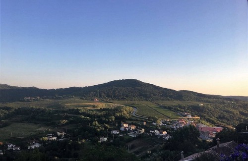 Motovun Casa | Ruina - residencia jardín, paraíso de trufas-vino-oliva, idilio en el campo