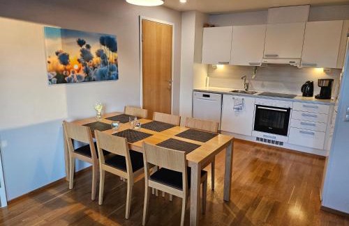 Rukatunturi Apartamento | Ruka Chalets Ski-In 1313