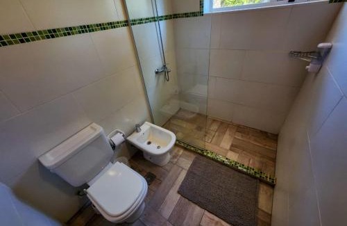 Moquehue Apartamento | Ruka Moquehue