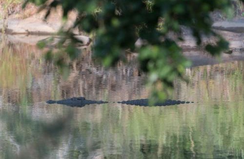 Hoedspruit Cabina | Rukiya Safari Camp