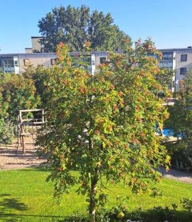 Soder Casa | Rum i lyxig lägenhet nära Emporia