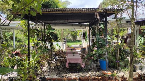 Ambarita Cama Y Desayuno | Ruma Kaca Simanindo Bed&Breakfast