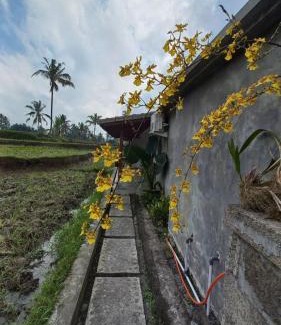 Tegallalang Casa | Rumah Kemuning Bali