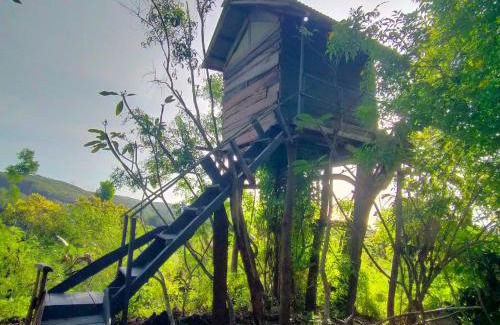 Penida Island Complejo | Rumah Pohon