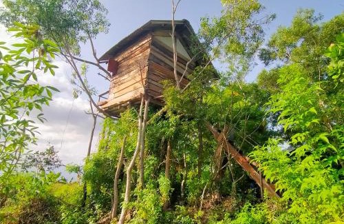 Penida Island Complejo | Rumah Pohon