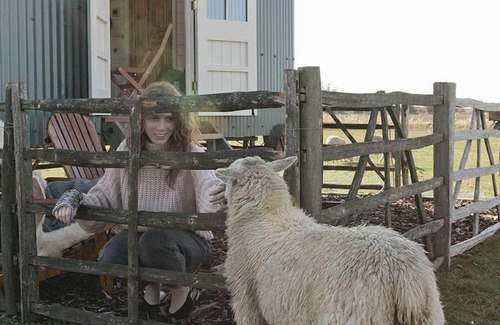St Mary's Bay Cabina | Rumwold by Bloom Stays - a rural shepherds hut sleeping 2 with amazing views!