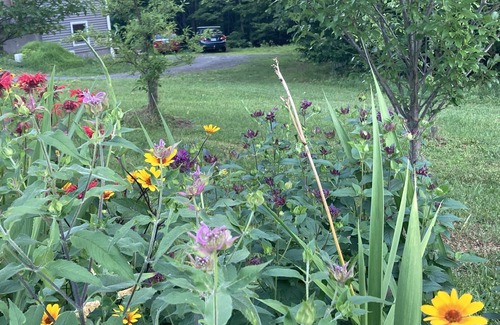 Bethel Apartamento | Run, ride, hike and swim in Central Vermont