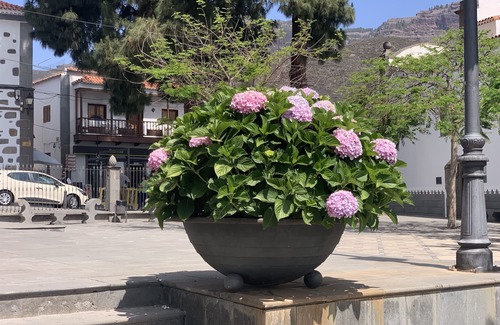 San Bartolome de Tirajana Cabaña | RURAL HOME SANTIAGO DE TUNTE