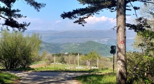 Zrenj Apartamento | Rural Apartment Carolina