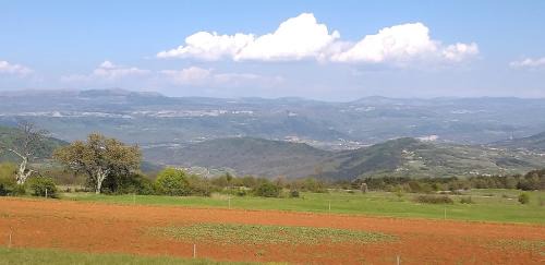 Zrenj Apartamento | Rural Apartment Carolina
