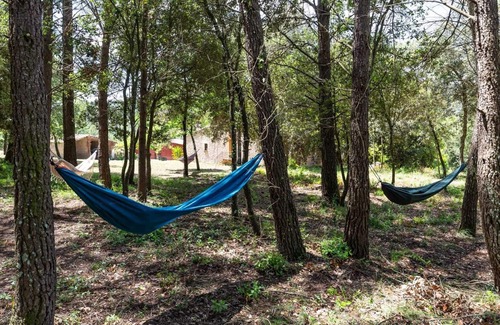Madremanya Apartamento | Apartamento Rural en una Masia de Campo