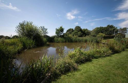 Abbess Roding Casa | Rural cottage with swimming pool!