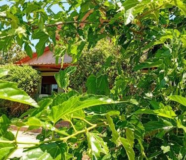 Pamvotida Apartamento | Rural hοuse