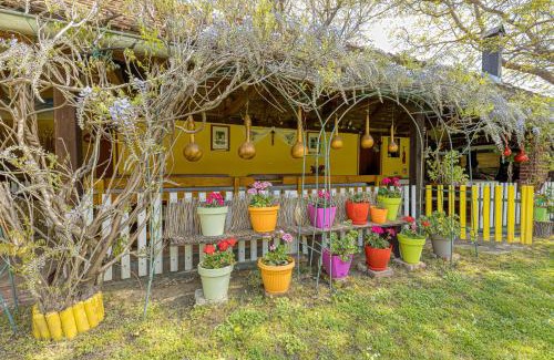 Velika Casa | Rural Homestead Trenkovo - Happy Rentals