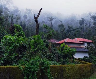 Chikkamagaluru Casa | Rushika Homestay Chikmagalur