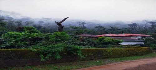 Chikkamagaluru Casa | Rushika Homestay Chikmagalur