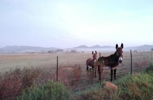Baardskeerdersbos Casa | Rusthof Accommodation