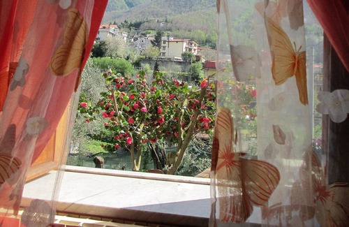 Piazza-Tralia-Pendolo Casa | Apartamento rústico en la planta baja con jardín de cítricos