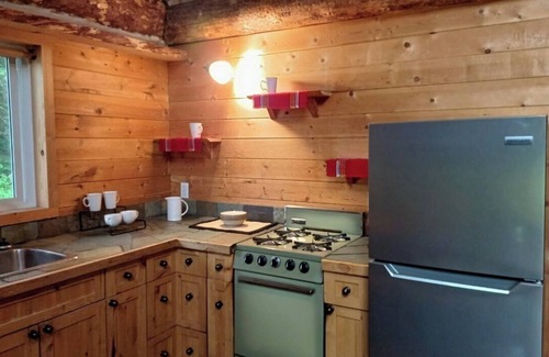 Golden Cabina | Rustic Beaverfoot Lodge Dream Cabin