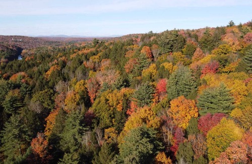 Monticello Cabina | Rustic Chic hidden Gem in the Southern Catskills