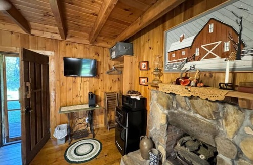 Andrews Cabina | Rustic Cozy Cabin in Andrews, NC