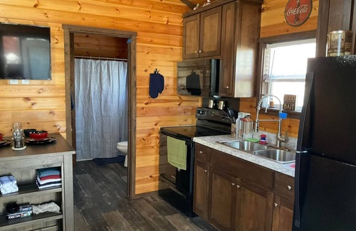 Mount Vernon Cabina | Rustic Fishing Retreat 1 Bed/1 ADA Bath