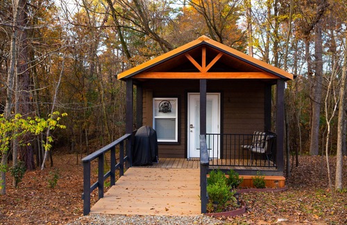 Mount Vernon Cabina | Rustic Fishing Retreat 1 Bed/1 ADA Bath