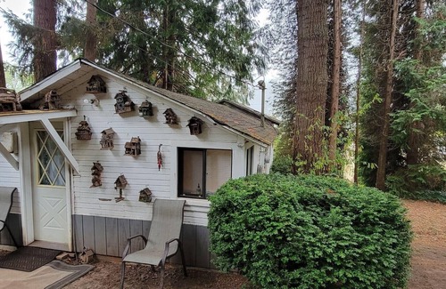 Clatskanie Cabina | Rustic forest cabin - perfect for solo travelers who cherish privacy and quiet.