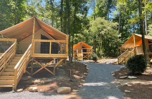 Saluda Alquiler De RV | Rustic Glamping Tent nestled in the beauty of the Green River Gamelands!