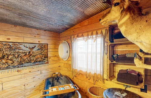 Berryville Cabina | Rustic & historic cabin with firepit, private hot tub, front porch, river access