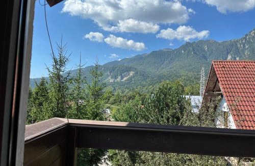 Busteni Casa | Rustic House Busteni