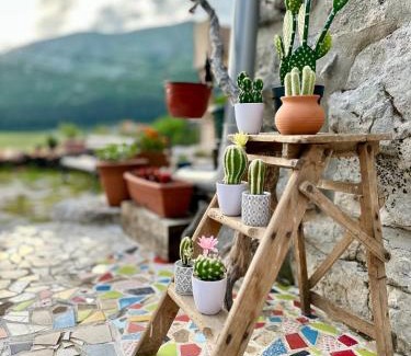Cetinje Municipality Casa | Rustic house Pojata