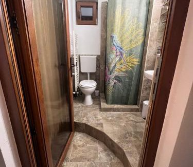 Baia Mare Apartamento | Rustic house