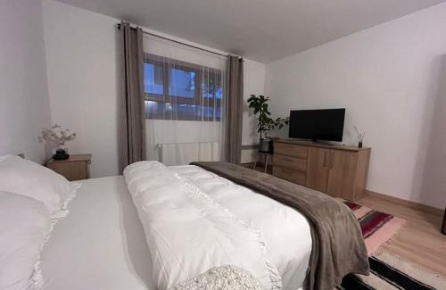 Baia Mare Apartamento | Rustic house