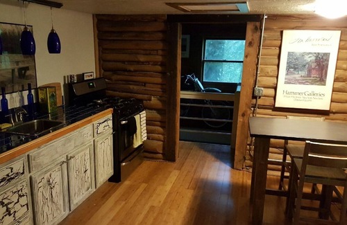 Saluda Cabina | Rustic log cabin on Pearson falls rd