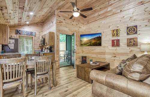 Cosby Cabaña | Rustic Retreat-Pickleball Court, Creek, WIFI, Mountain Views, Starting at $79"