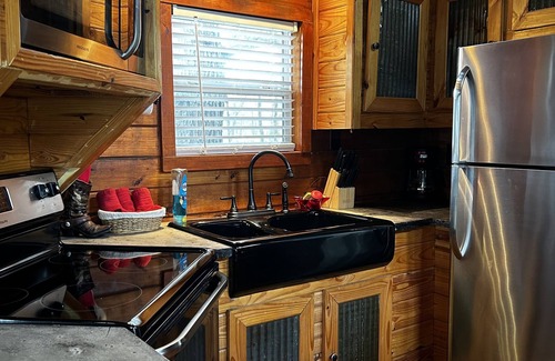 Mount Vernon Cabina | Rustic Retreat W/ One Bedroom & loft With Outdoor Fireplace