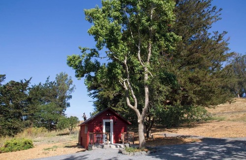 Petaluma Cabaña | Acogedora cabaña de estudio en West Marin Rancho de ganado orgánico