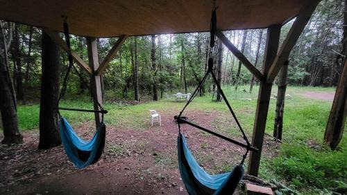 Elba Casa | Rustic Tree House with Woodland Valley Views in Elba, Minnesota