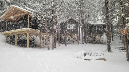 Elba Casa | Rustic Tree House with Woodland Valley Views in Elba, Minnesota