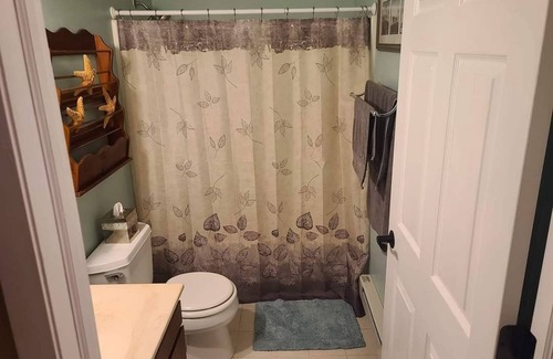 Lyndon Station Condominio | Rustic Wisconsin Dells Condo
