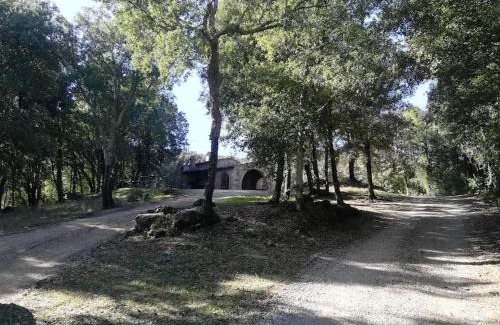 Massa Marittima Apartamento | Rustico in un parco di lecci