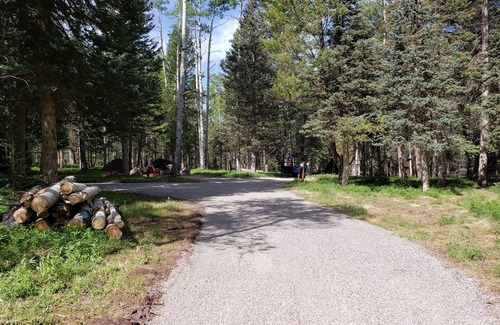 Cimarron Alquiler De RV | RV Lot nestled in the Aspens!