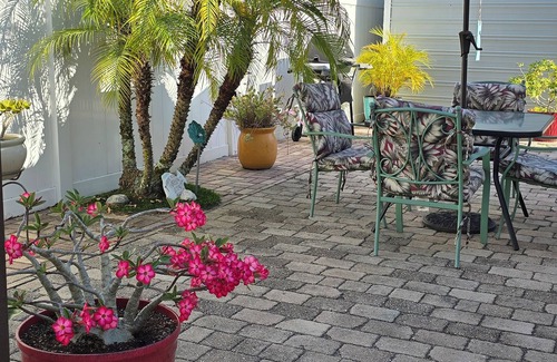 Zephyrhills South Casa | RV Resort-Close to Tampa, Hard Rock, Busch Gardens, Skydive City and More