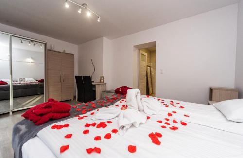 gmina Patnow Apartamento | Rzeka Miodu